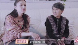 娱乐吃瓜酱婆婆在线观看,揭秘热门剧集幕后故事