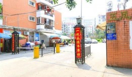 麻城鼓楼新闻爆料事件,真相与舆论漩涡