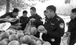 安新吃瓜网红事件最新,揭秘网络舆论背后的真相与争议